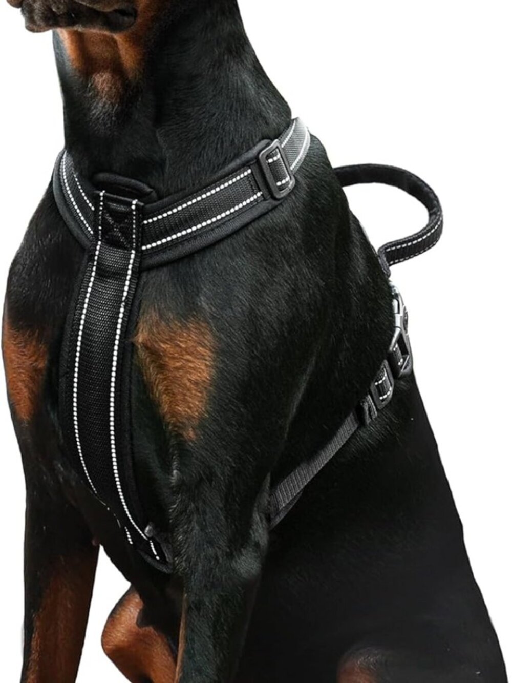 Dog Harness No Pull Adjustable Step in No Choke and Leash Set - Large Black NEW